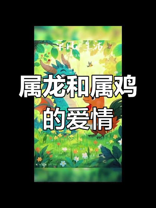 鸡和龙属相的婚姻状况会怎样？有没有什么忒别的注意事项？