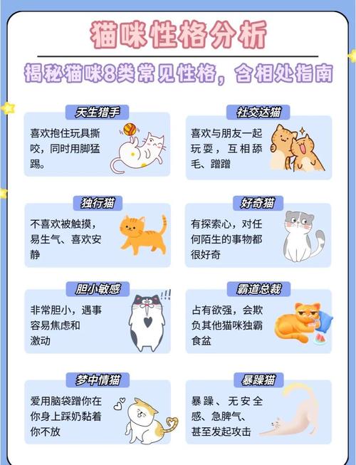 猫命理中属什么命格的人特点如何，如何通过命格改写命运？