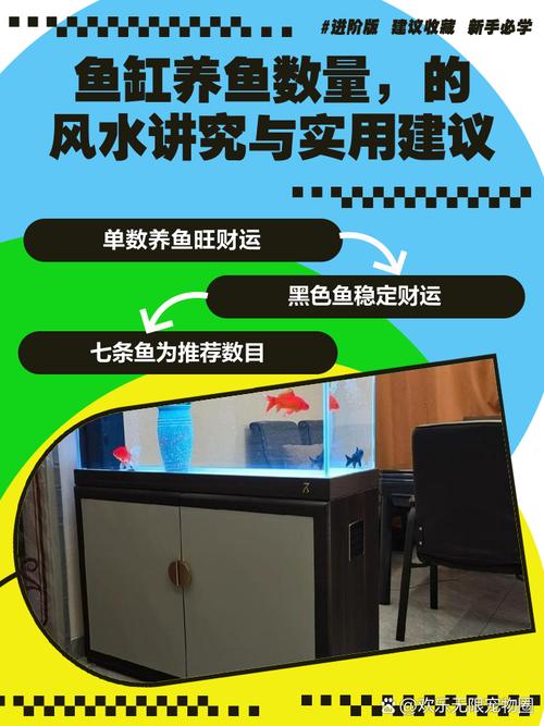 养鱼数量与风水有何关联，是否真的讲究其中的奥秘？