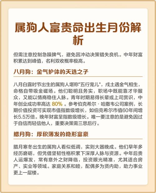 属狗的中午出生的人，他们的命格究竟是怎样的呢？
