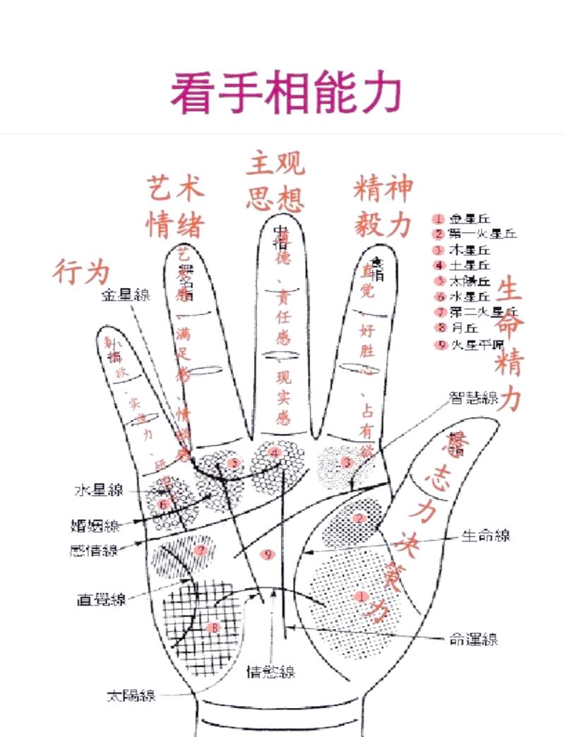 四条掌纹代表什么命格？这是否意味着某种特殊命运或性格特征？
