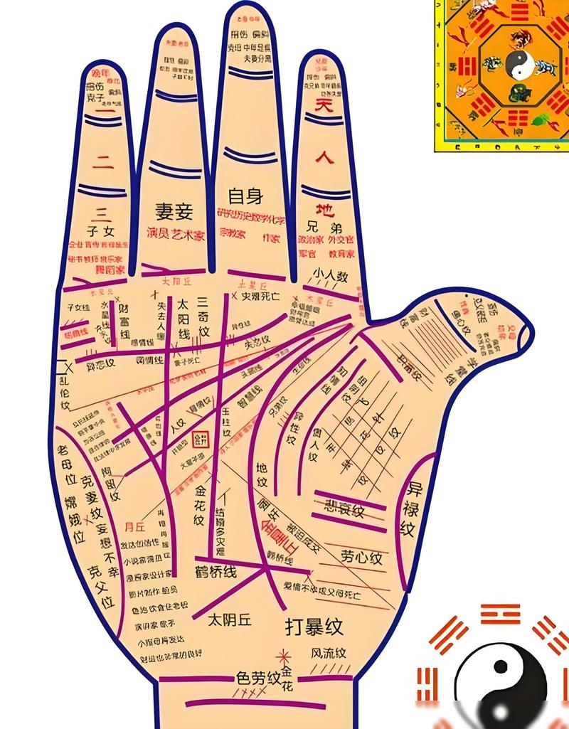 风水手相预测真的准确吗？有没有科学依据？