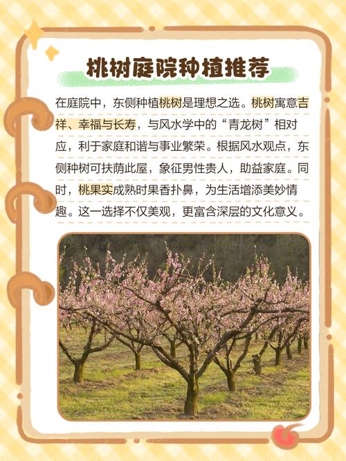 家里种风水桃树有什么讲究和注意事项？