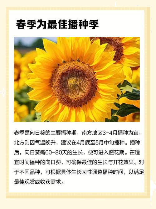 2026年5月4日农历三月十八适合种植什么植物吗？