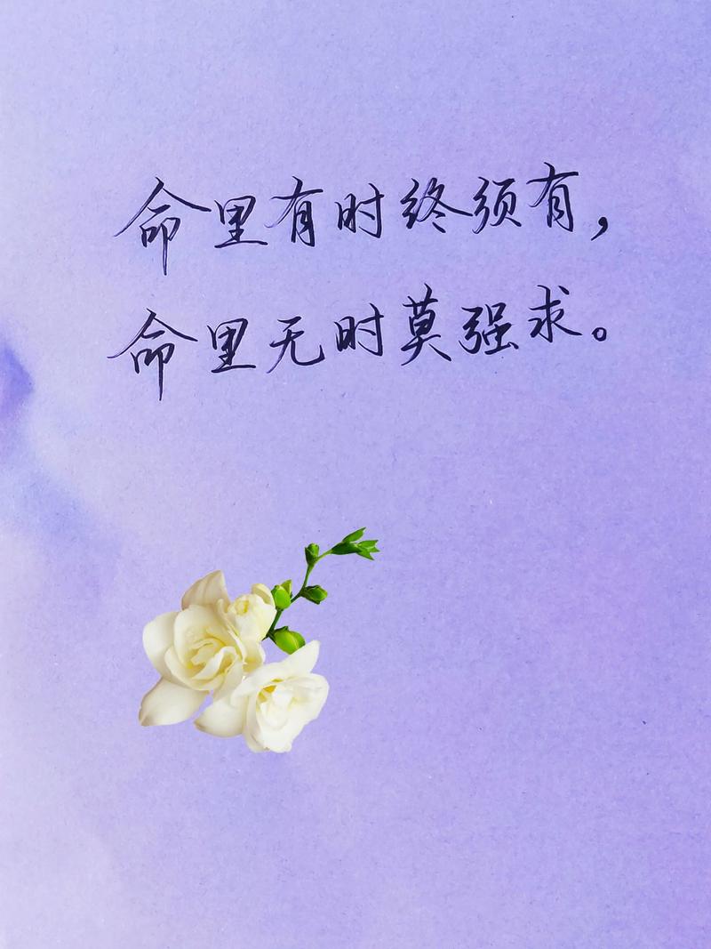 八字命理中，‘命里有时终须有，命里无时莫强求’这句话，是否真的适用于每个人的人生轨迹？