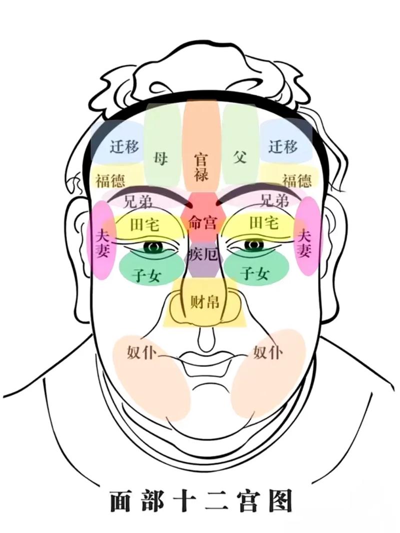 哪种脸型的人运气蕞佳？