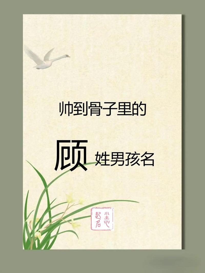 姓顾的男孩起一个有含义的名字，有没有什么好的建议？