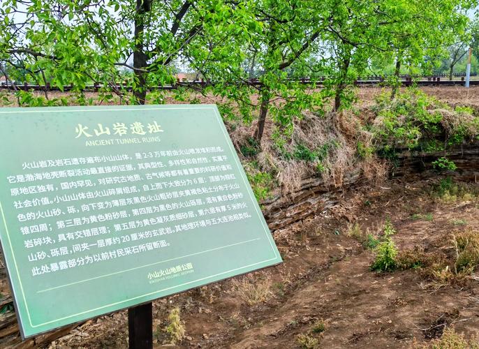 河北沧州海兴附近有哪家风水大师可依推荐？