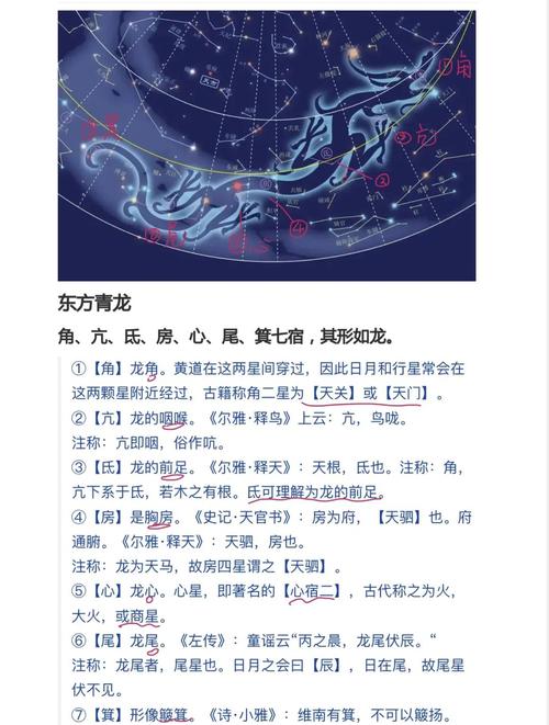 青龙出海命格是否适合我，能带来好运吗？