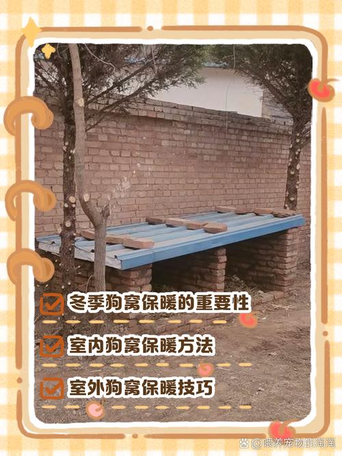 房前狗舍对风水有何具体影响？