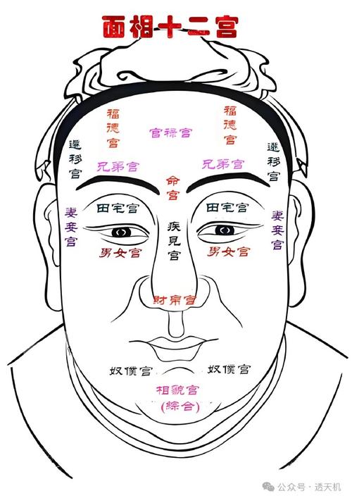 双宫命格男人的面相特征有哪些？
