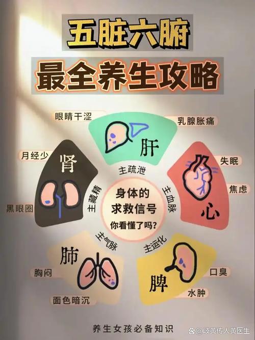 肺与五行之间究竟存在怎样的密切联系？