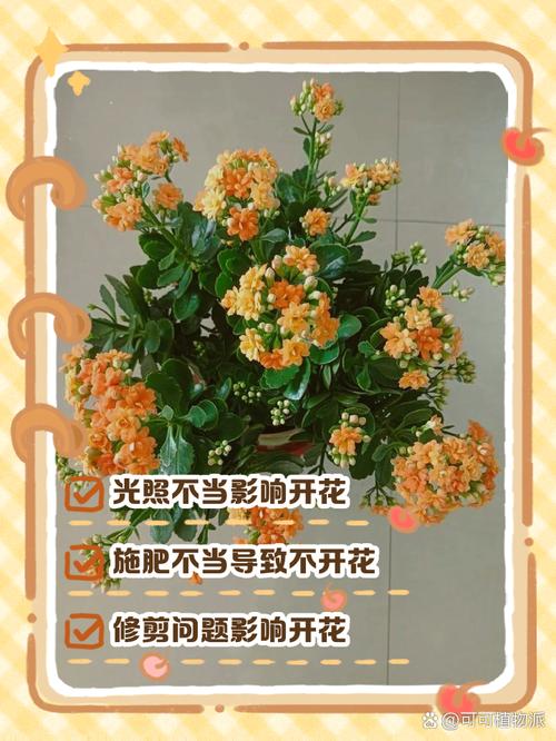 为什么说木命的人养花容易枯萎，是不是真的养花不开呢？