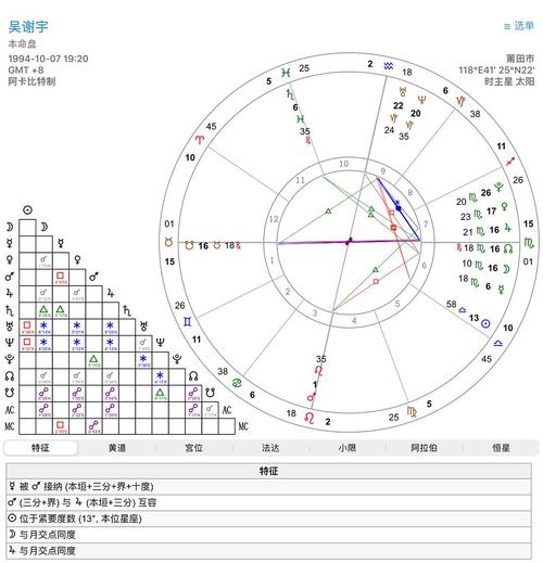 吴谢宇八字命格分析中，哪些细节揭示了其性格命运的关键因素？