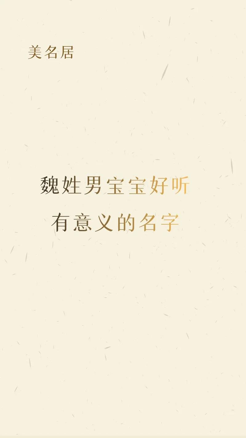 魏姓有涵养的小男孩叫什么名字呢？有没有什么寓意美好的名字推荐？