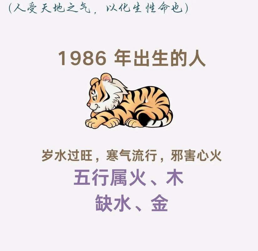 86年属虎女本命年，如何调整命格以迎好运？