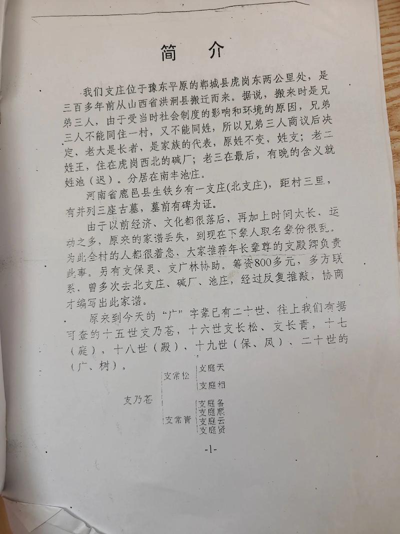 支姓男孩名字中哪个特别优美？