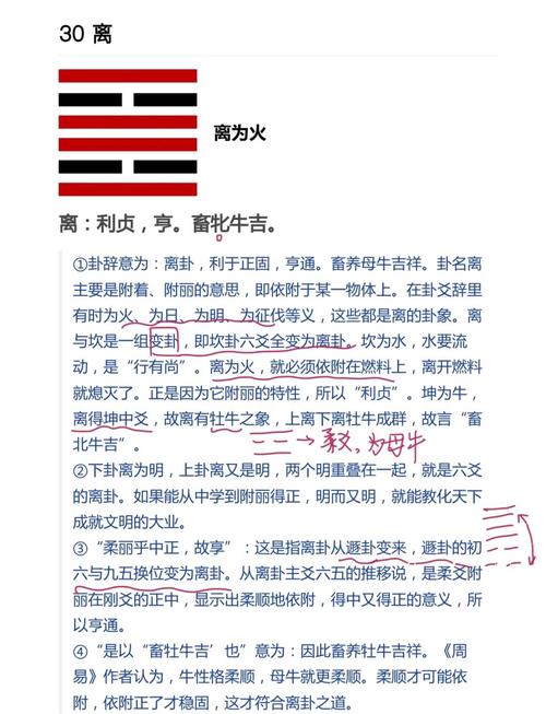 离祖出家之命和子息不孤之命分别指什么？