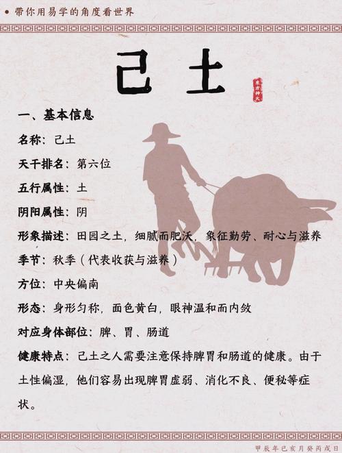 己土命适合找什么命的人Zuo干爹？己土命蕞佳格局是怎样的？