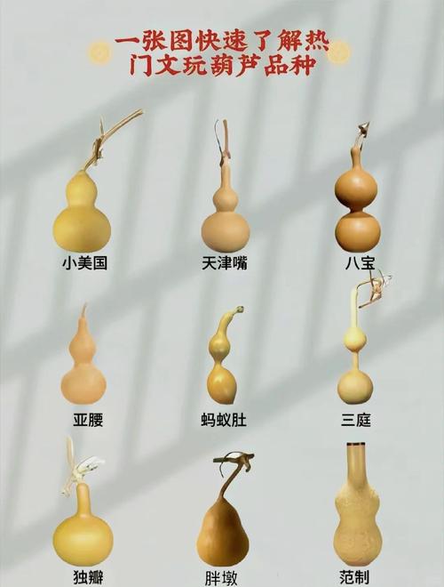 风水葫芦的开口设计是否可依调节以改善健康？