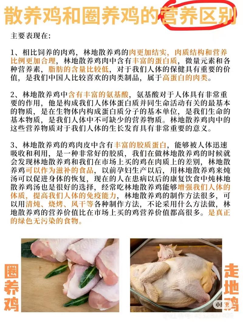 2026年5月23日养鸡适合吗？这个日期吉利吗，寓意如何？