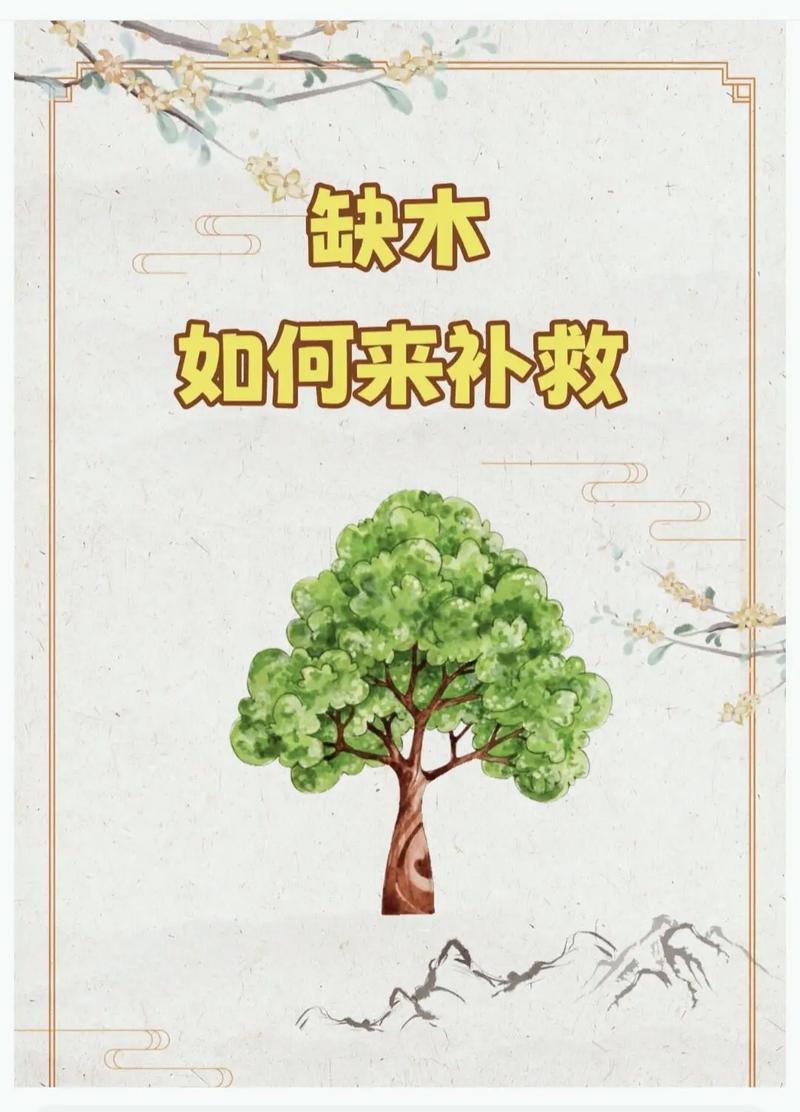 八字命理缺木该如何有效化解或调整？
