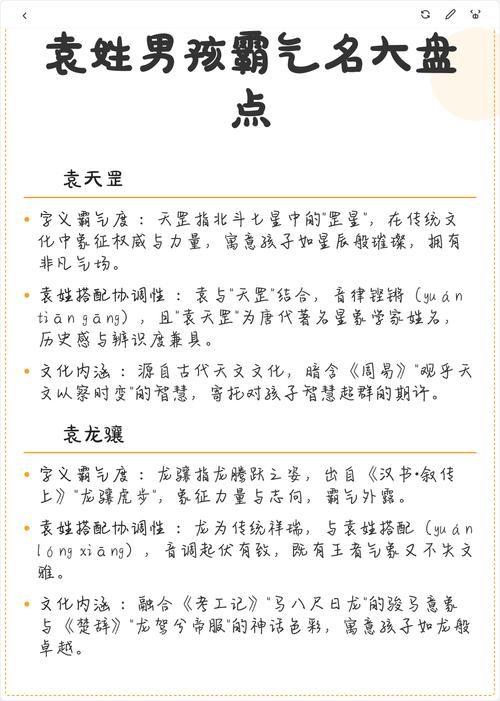 袁姓男孩名字中哪个特别优美？