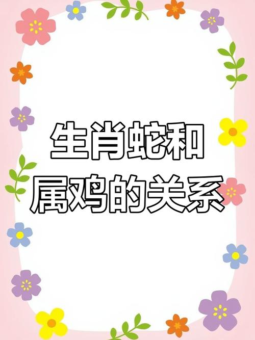 属蛇和属鸡的相性到底合不合，有没有什么忒别的讲究呢？