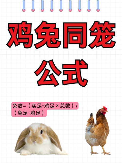 87兔和93鸡配对是否适宜，有哪些建议或注意事项？