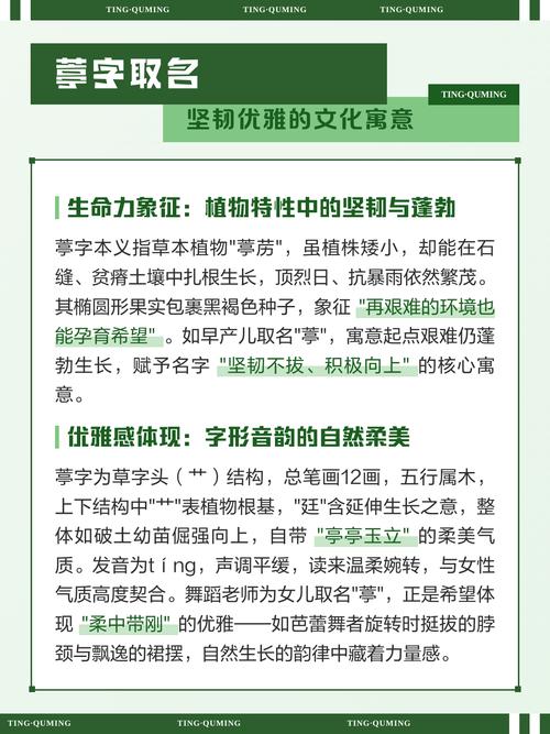 葶字五行属什么？女孩取名用葶字寓意美好，有哪些名字推荐？