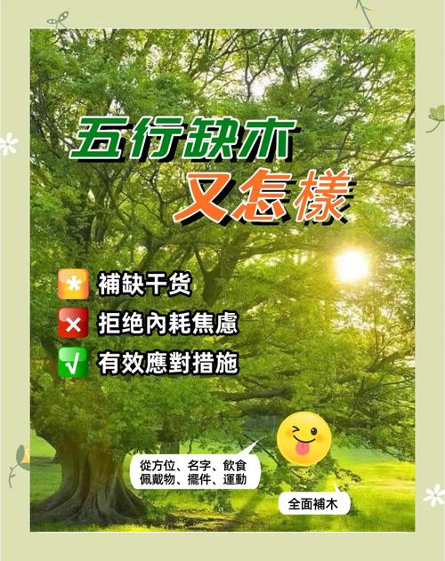 五行中木元素不足，如何有效补充和平衡五行木元素？