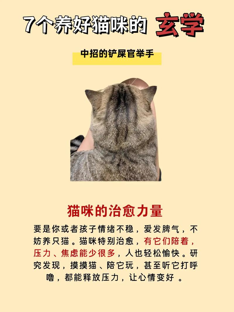风水踩猫屎有什么忒别的忌讳或说法吗？