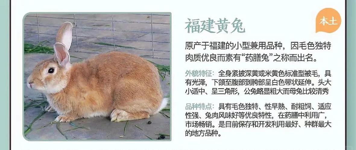 2026年5月12日，今日适合养殖什么？黄历推荐养殖哪些动物？