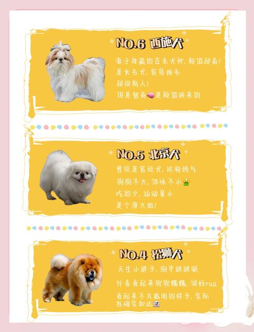 看门狗的命格究竟是什么？