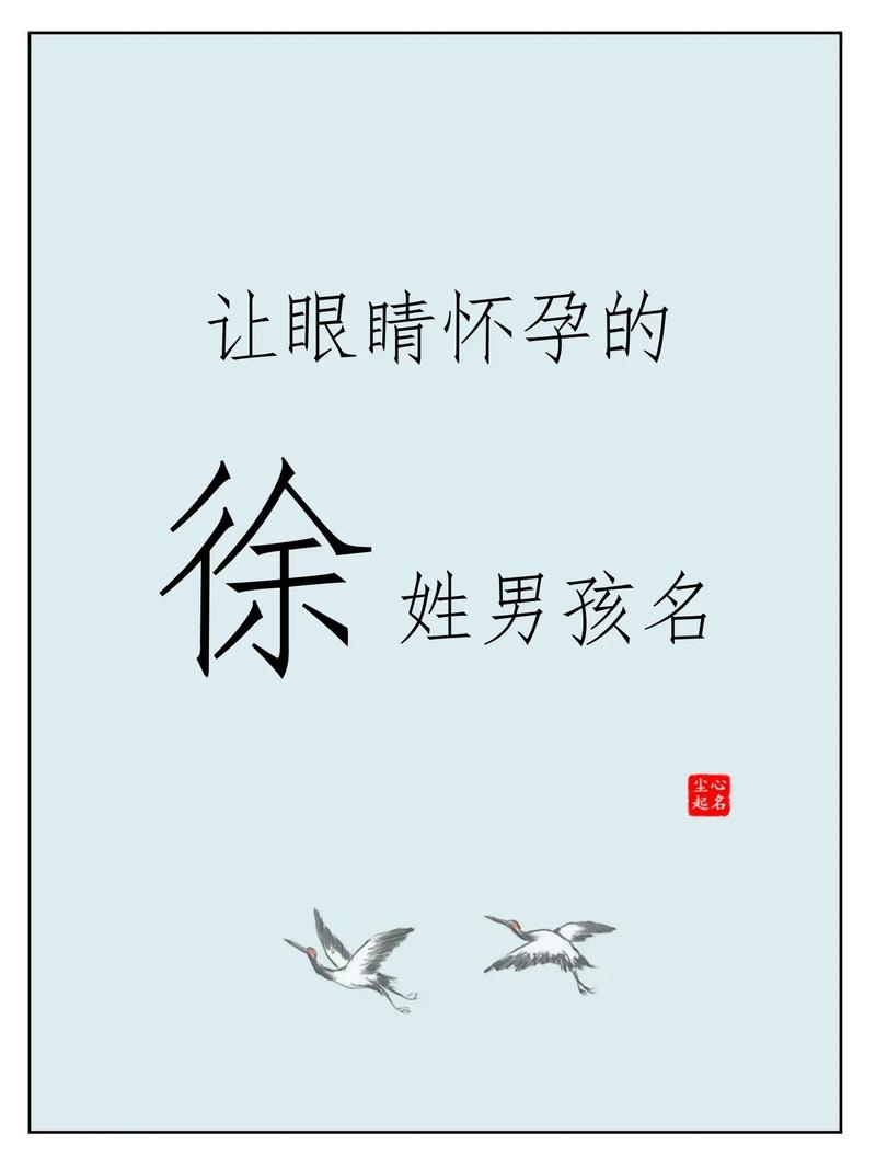 徐姓气质男孩取什么名字比较好？