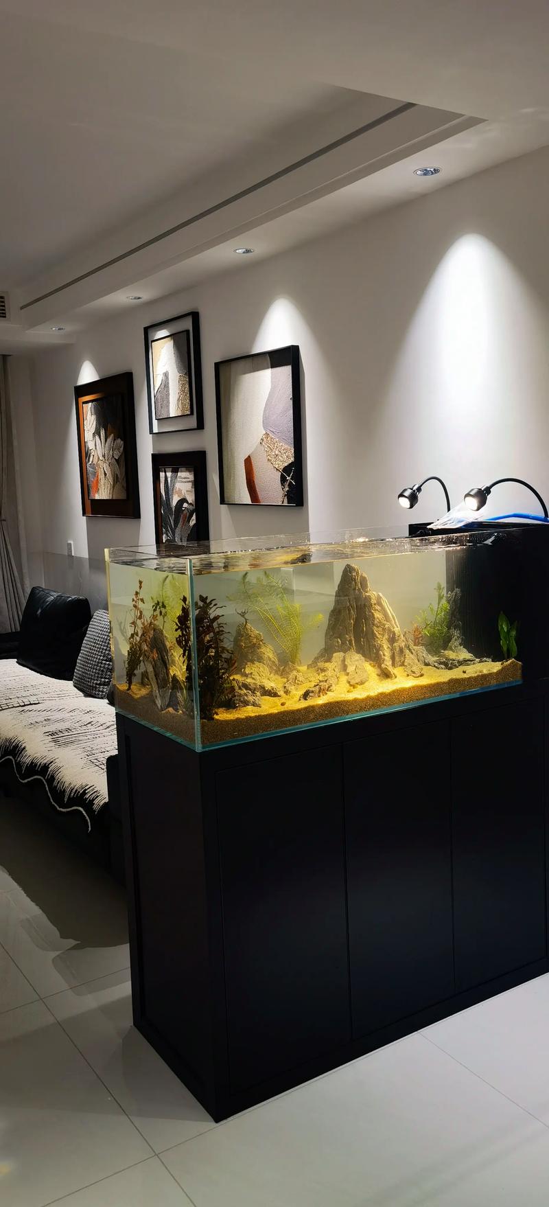 鱼缸里的残疾鱼是否会影响家居风水，带来不好的运势呢？