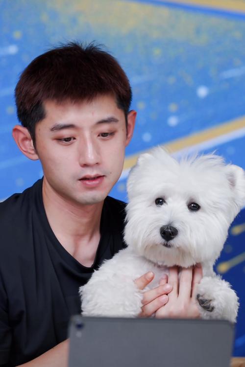 张继科是哪种命格的人，他的命运特点有哪些？