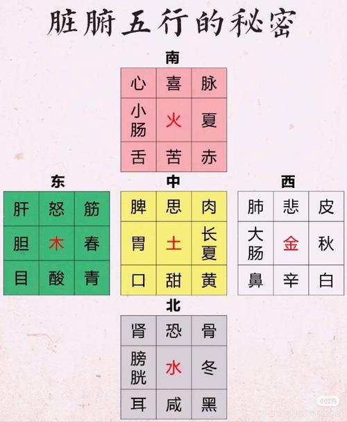 八字中土金较旺的人，如何调整命理布局以平衡五行？