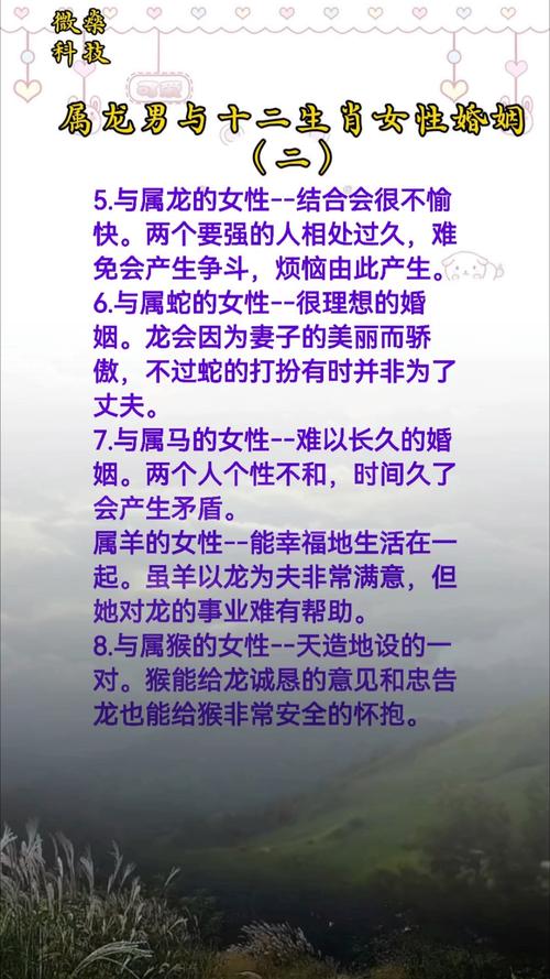 属龙和属龙的人结婚后婚姻状况如何？