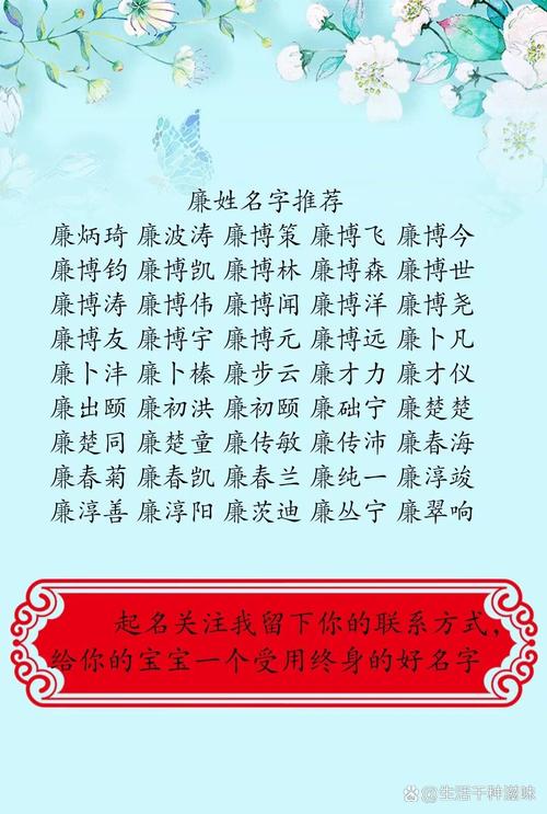 廉姓女宝宝取名，有没有既新颖又富有内涵的名字推荐呢？