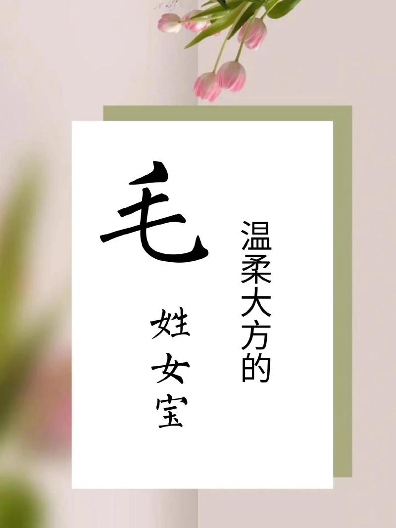 毛姓诗意女宝宝名字叫梦瑶，那么可以是：毛姓女宝宝叫梦瑶，有没有什么诗意的名字推荐？