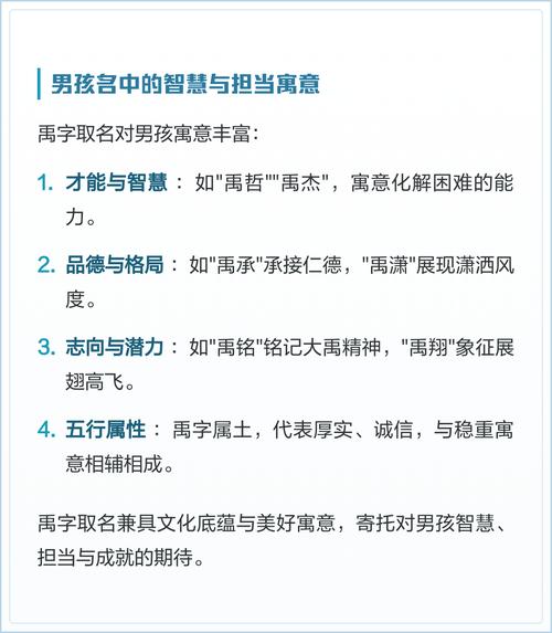 禹字取名寓意男孩，能否体现智慧与担当？