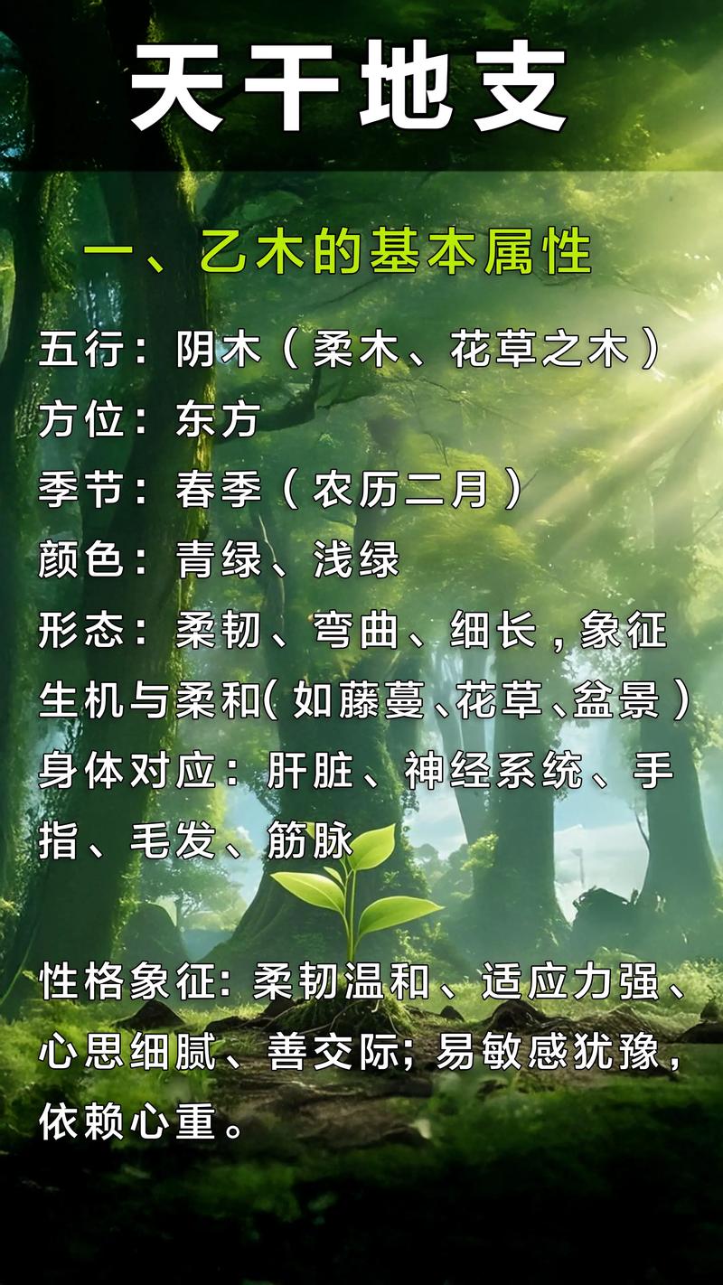 八字命理中乙木入命代表什么含义？