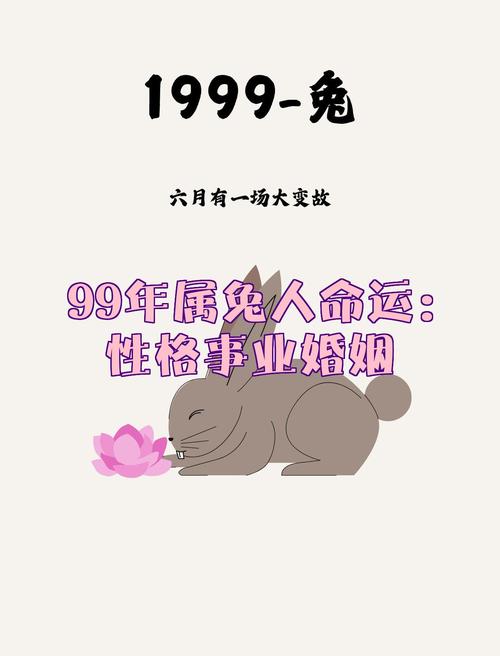 1999年属兔的人改命是什么？