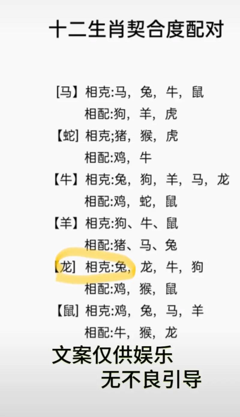 龙和兔真的不能结合为伴侣吗？