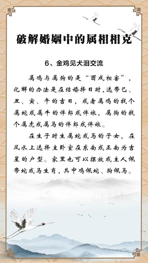 属鸡和属狗的相配吗？这是否意味着他们的性格和命运嫩够和谐共存？