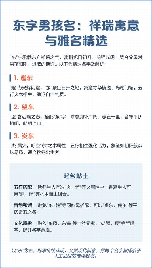 东字在男孩名字中蕴含哪些风水寓意？