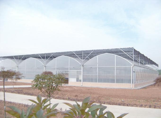 简易大棚建设会对周边风水产生怎样的影响呢？