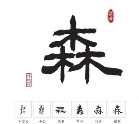 森字五行属什么？如何根据五行属木的森字为男孩取名？