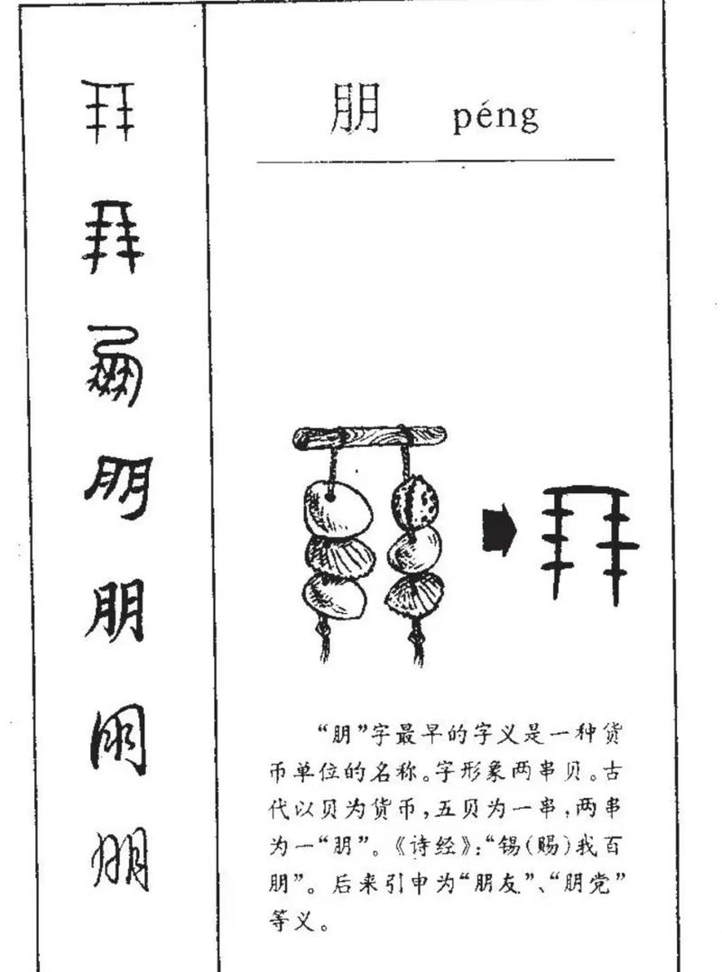 五行中‘朋’字属什么，女孩取名用‘朋’字寓意有哪些？